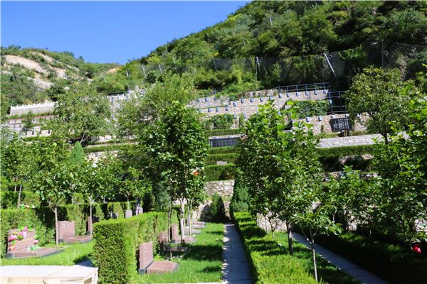 中国航天日，骨灰可以上太空吗？世界上有哪些浪漫的安葬形式呢？