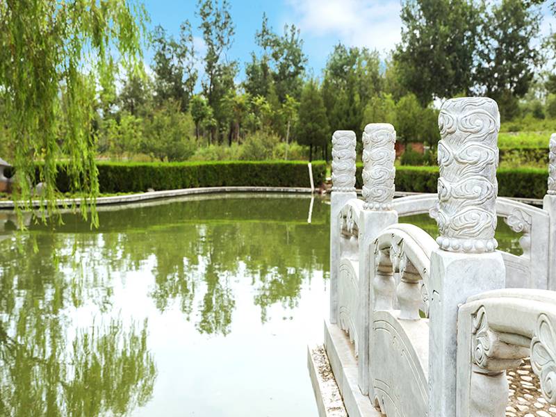 北京市思亲园骨灰林墓地价格（ 思亲园环境如何）