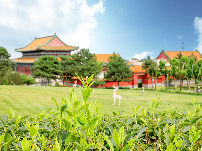 天寿墓地的预算是多少( 如果你想被安葬在天寿公墓,你应该注意什么) 天寿墓地的预算是多少( 如果你想被安葬在天寿公墓,你应该注意什么)